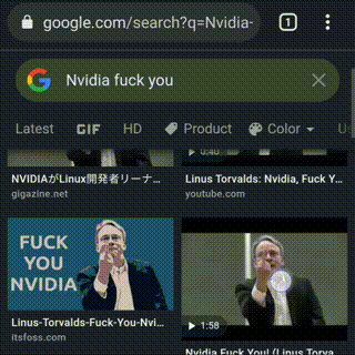 Search result screen of Google images